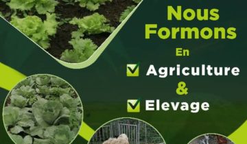 JEM Agou : Formation Agriculture et Elevage